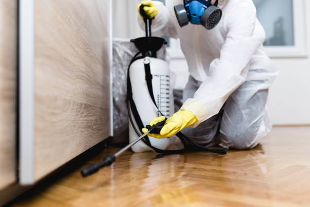 Best Pest Prevention Services  in Marist College, NY