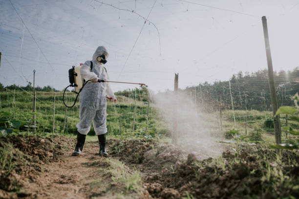 Best Commercial Pest Control Services  in Marist College, NY