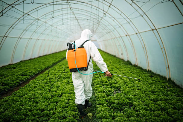 Best Pest Control Treatment  in Marist College, NY