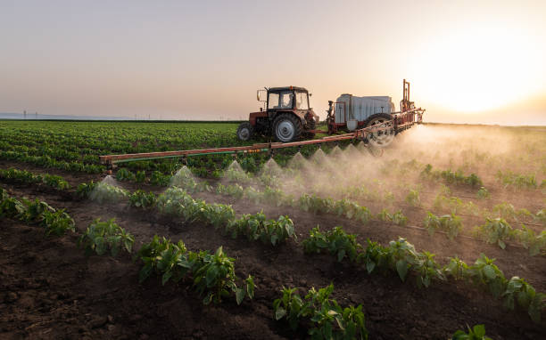 Best Mosquito Control Services  in Marist College, NY