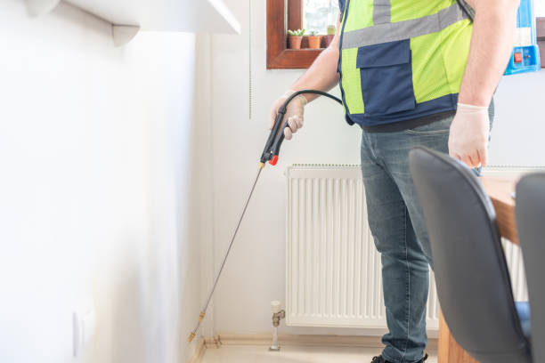 Best Termite Control Services  in Marist College, NY