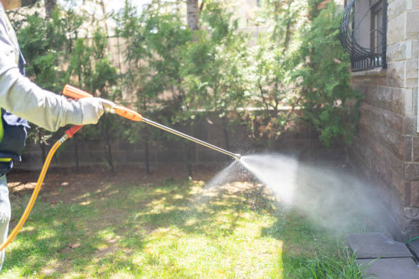 Best Pest Inspection Near Me  in Marist College, NY