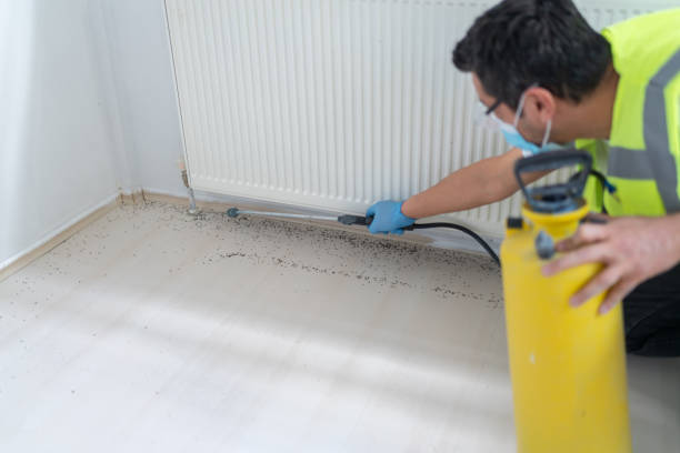 Best Commercial Pest Control Services  in Marist College, NY