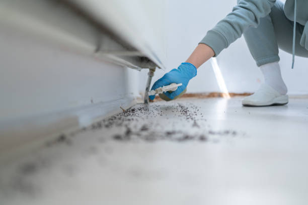 Pest Control Cost in Marist College, NY